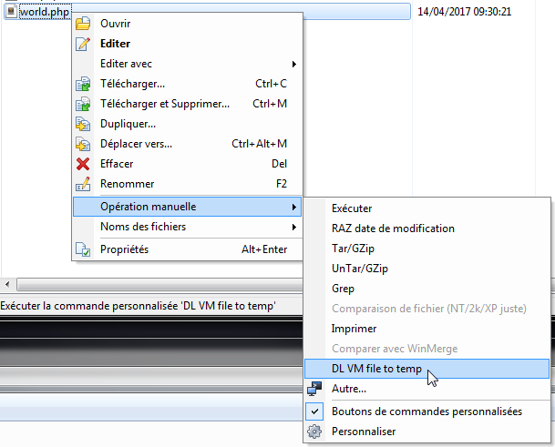 2017-04-14 11_07_44-configuration - VM EGSI - WinSCP.png