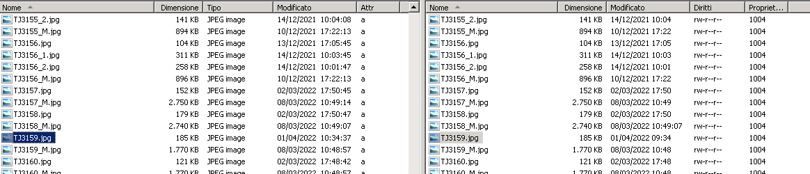 Immagine 2022-04-01 105350.png