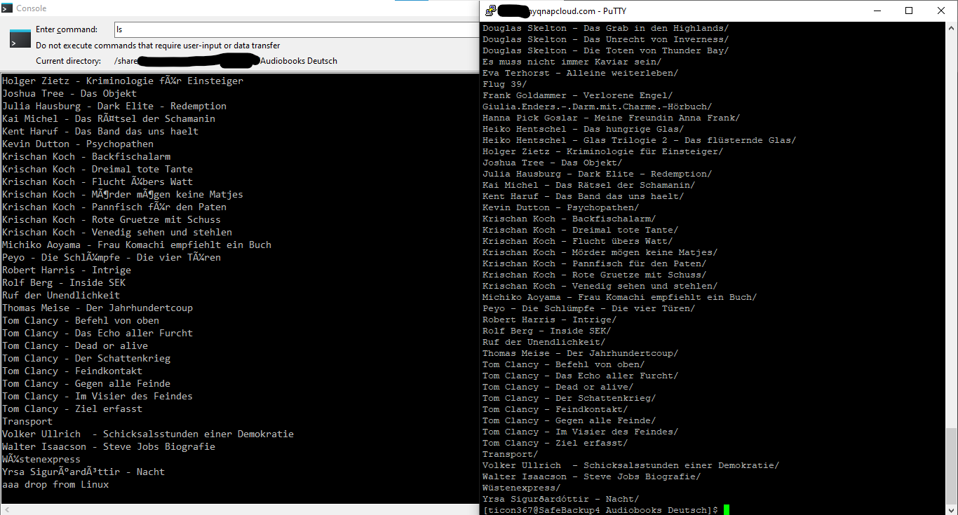 Screenshot WinSCP left Putty right.png