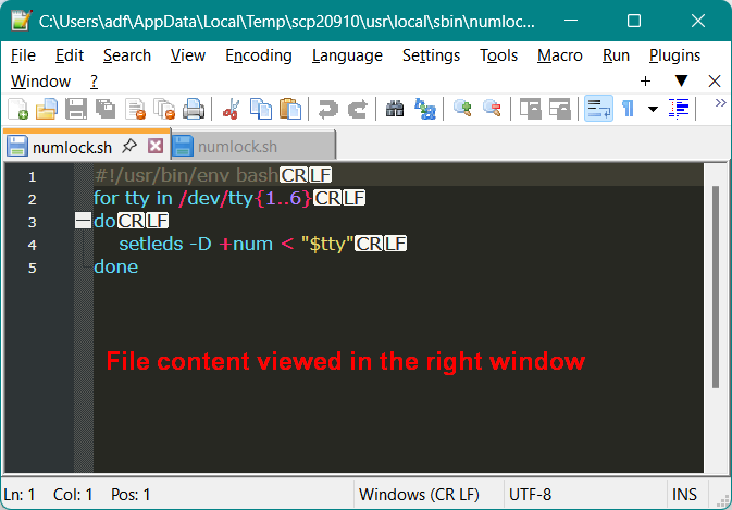 file content viewed in the right window.png